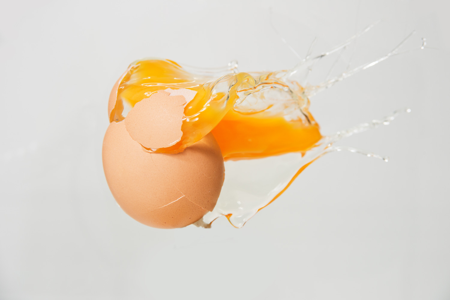 egg splattering showing yoke and egg white protein