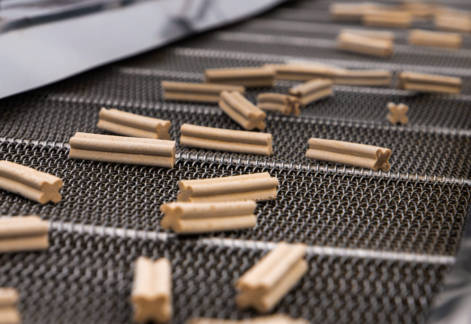 extruded stick supplement in plus shape on conveyor belt